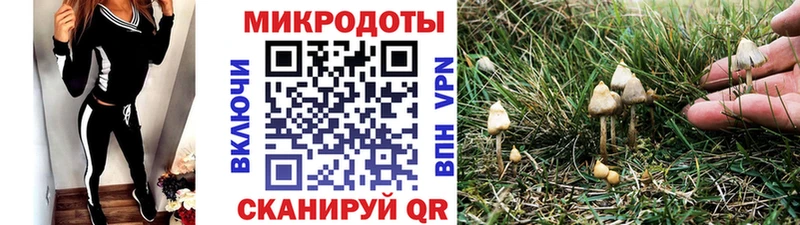 Галлюциногенные грибы GOLDEN TEACHER  Купить  Электрогорск 